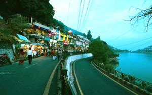 property for sale in nainital